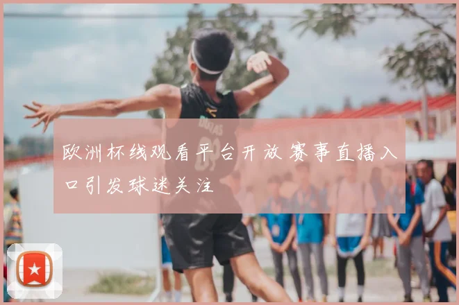 欧洲杯线观看平台开放 赛事直播入口引发球迷关注