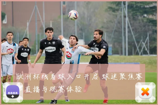 欧洲杯线看球入口开启 球迷聚焦赛事直播与观赛体验
