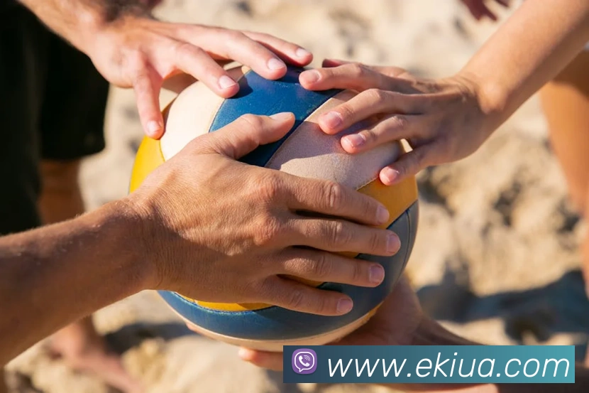 多媒体互动体验